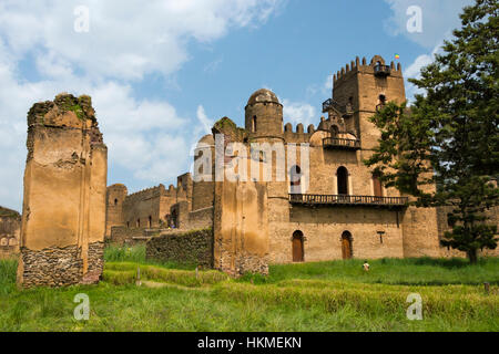 Fasilides" château-forteresse en ville de Fasil Ghebbi fondée par l'Empereur Fasilides, UNESCO World Heritage site, Gondar, Éthiopie Banque D'Images