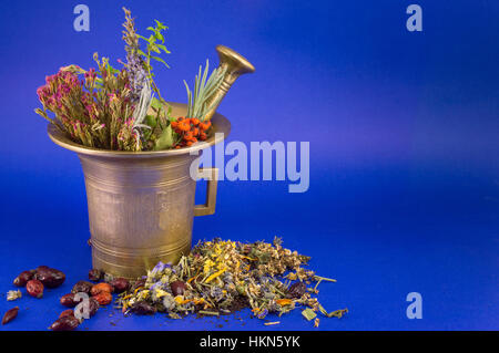 Les herbes séchées dans un mortier d'or vintage Banque D'Images