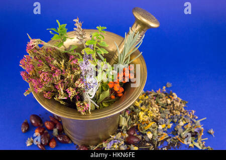 Les herbes séchées dans un mortier d'or vintage Banque D'Images