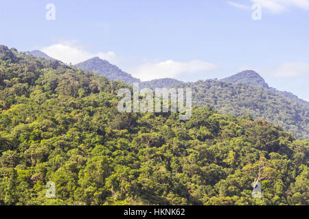 Ilhabela, Brésil, montagnes couvertes par la forêt atlantique, un jour ensoleillé Banque D'Images