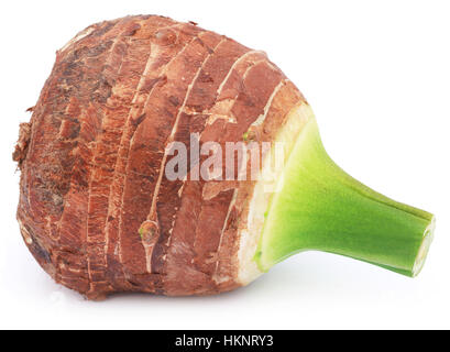 Racine comestible de colocasia over white background Banque D'Images