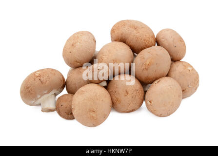 Pile de inégale avec champignons châtaigne fraîche brown caps, isolé sur fond blanc Banque D'Images