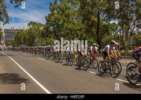 La dernière étape du Tour Down Under courses autour du circuit de la rue Adelaide central Banque D'Images