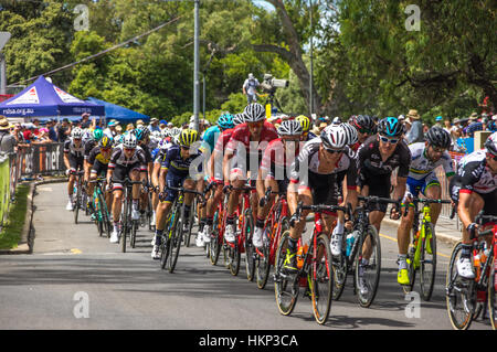 La dernière étape du Tour Down Under courses autour du circuit de la rue Adelaide central Banque D'Images