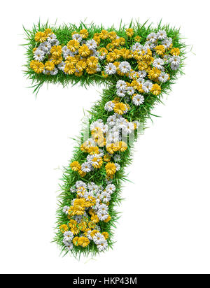 Numéro 7 de l'herbe verte et de fleurs Banque D'Images