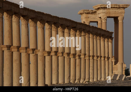 L'antique cité de Palmyre en Syrie Banque D'Images