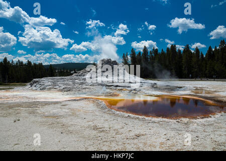 Upper Geyser Basin, Parc National de Yellowstone, Wyoming, USA Banque D'Images