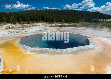 Upper Geyser Basin, Parc National de Yellowstone, Wyoming, USA Banque D'Images