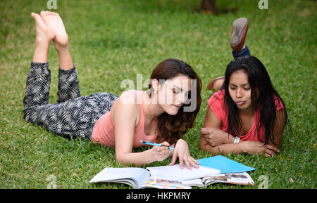 Les filles latino l'étude portant sur les leçons de l'herbe du parc Banque D'Images