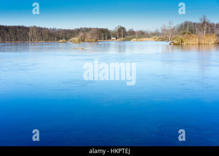 La glace sur le lac par beau temps. grande surface bleue d'arbres et de roseaux. Banque D'Images