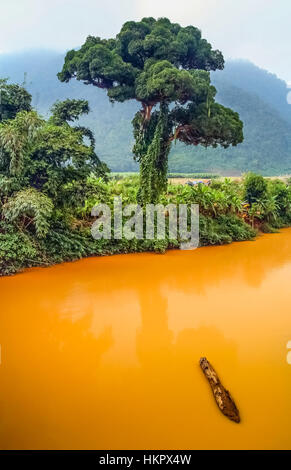 Dans xishuabanna paysage tropical de la région du Yunnan, en Chine du sud Banque D'Images