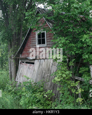 Un vieux bâtiment, depuis longtemps abandonné et envahi par les feuilles et les branches se trouve le long du côté d'une route dans la région de Muskoka Ontario Canada. Pi Banque D'Images