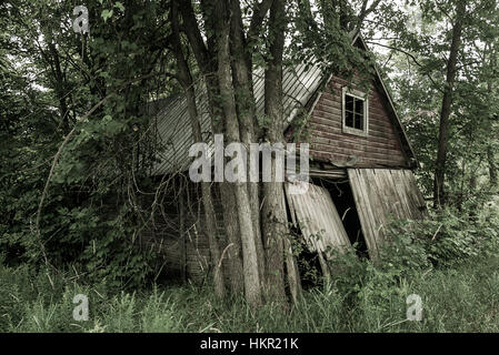 Un vieux bâtiment, depuis longtemps abandonné et envahi par les feuilles et les branches se trouve le long du côté d'une route dans la région de Muskoka Ontario Canada. Pi Banque D'Images