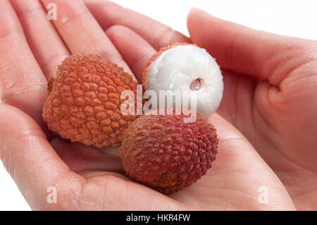 Litchis frais dans la main sur fond blanc Banque D'Images