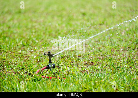 L'eau de travail sur sprinkleur pelouse en herbe verte Banque D'Images