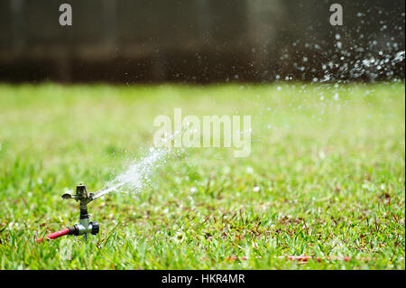 L'irrigation des pelouses vertes avec water sprinkler Banque D'Images