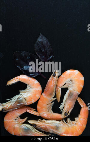 La préparation des fruits de mer dans la cuisine gastronomique avec la crevette rose entouré de fines herbes et épices sur fond noir en noir Banque D'Images