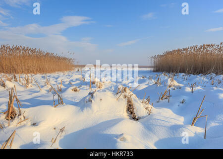 En hiver le lac Comana Banque D'Images