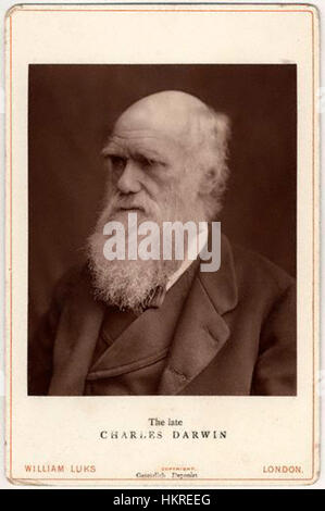 Cette photographie de Charles Darwin, prise en 1877 par Lock et Whitfield, capture le célèbre naturaliste dans ses dernières années, marquant un moment charnière dans l'histoire de la science et de la théorie de l'évolution. Banque D'Images