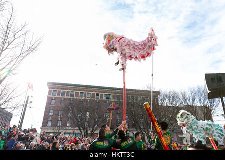 Seattle, USA. 29 janvier 2017. Les membres de la fai Mak Club Kung Fu effectuer une danse du lion lors de la célébration du Nouvel An lunaire 2017 Chinatown-International dans le district. Crédit : Paul Gordon/Alamy Live News Banque D'Images