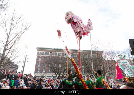 Seattle, USA. 29 janvier 2017. Les membres de la fai Mak Club Kung Fu effectuer une danse du lion lors de la célébration du Nouvel An lunaire 2017 Chinatown-International dans le district. Crédit : Paul Gordon/Alamy Live News Banque D'Images