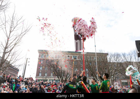 Seattle, USA. 29 janvier 2017. Les membres de la fai Mak Club Kung Fu effectuer une danse du lion lors de la célébration du Nouvel An lunaire 2017 Chinatown-International dans le district. Crédit : Paul Gordon/Alamy Live News Banque D'Images