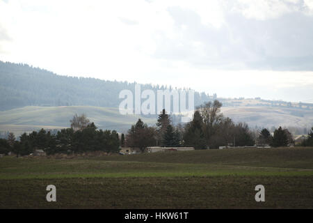 Moscou, New York, USA. 17 novembre, 2016. Syringa Mobile Home Park est situé à quelques kilomètres du centre-ville de Moscou, de l'Idaho. Le parc offre une vue sur la montagne de Moscou. Credit : Crédit : /ZUMA Wire/Alamy Live News Banque D'Images