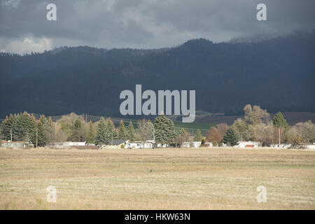 Moscou, New York, USA. 17 novembre, 2016. Syringa Mobile Home Park est situé à quelques kilomètres du centre-ville de Moscou, de l'Idaho. Le parc offre une vue sur la montagne de Moscou. Credit : Crédit : /ZUMA Wire/Alamy Live News Banque D'Images