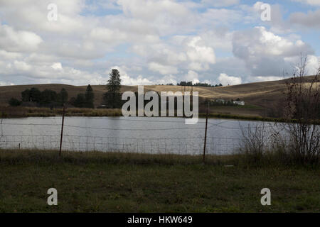 Moscou, New York, USA. 17 novembre, 2016. Les étangs situés à Syringa parc pour maisons mobiles sont utilisés comme traitement des eaux usées. Credit : Crédit : /ZUMA Wire/Alamy Live News Banque D'Images