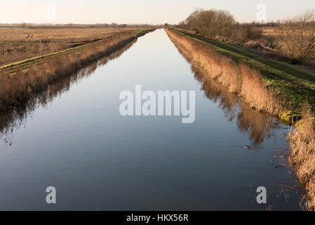 La vidange du commissaire et au canal de drainage de la rivière Wicken Fen Cambridgeshire Ely UK Banque D'Images