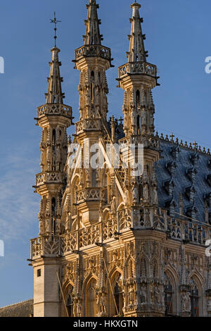 Hôtel de ville Leuven Belgique Banque D'Images