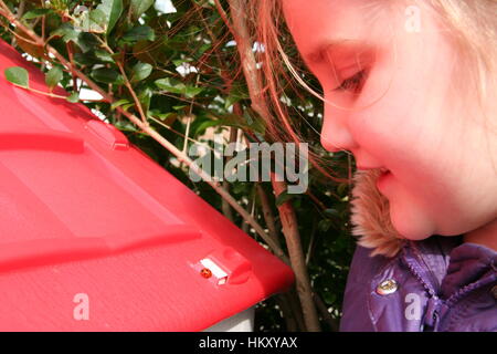 Petite fille blonde enfant kid l'étude d'une Coccinelle rouge vif me demande la main concept d'apprentissage par la découverte, l'awe explorer à l'extérieur jardin étonnement Banque D'Images