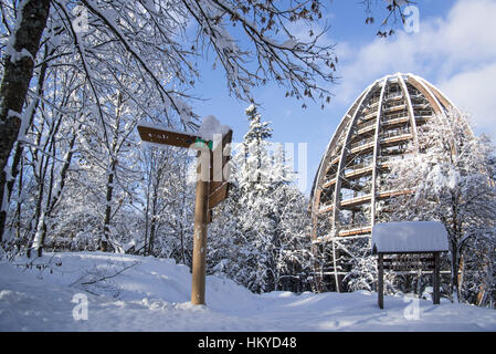 Baumwipfelpfad en hiver, la tour de bois construction de la Tree Top walk dans le Parc National de la forêt bavaroise, Grafenau, Allemagne Banque D'Images