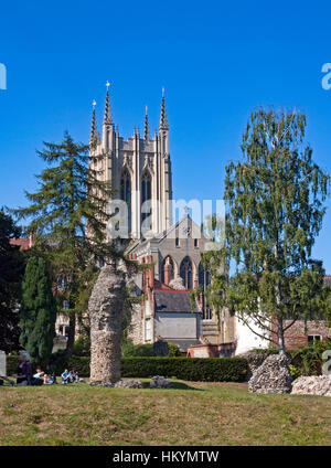 Cathédrale St Edmundsbury vu de l'abbaye Jardins, Bury St Edmunds, Suffolk, Angleterre. Banque D'Images