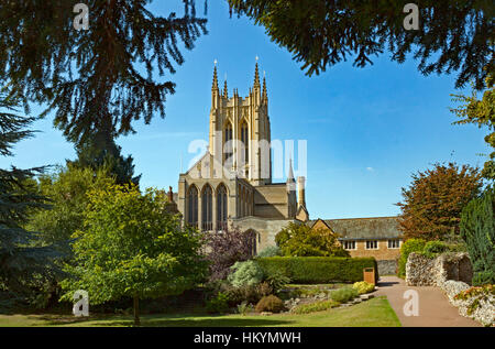 Cathédrale St Edmundsbury vu de l'abbaye Jardins, Bury St Edmunds, Suffolk, Angleterre. Banque D'Images