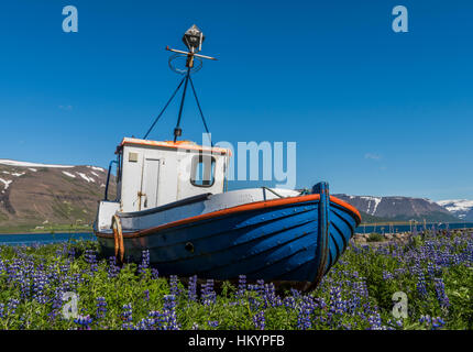 Thingeyri, Islande - Juillet 5, 2016 : Ancien, bleu bateau de pêche en bois près de Thingeyri avec des montagnes et de la neige sur l'Islande. Banque D'Images