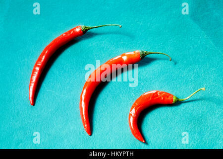Piment rouge sur un fond bleu ardoise. Banque D'Images