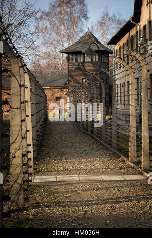 Camp de concentration d'Auschwitz Oswiecim en Pologne Banque D'Images