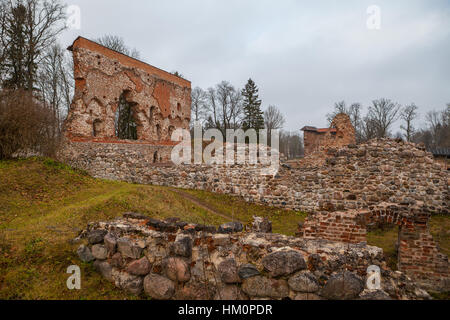 Ruines du château médiéval de Tallinn, Estonie Banque D'Images