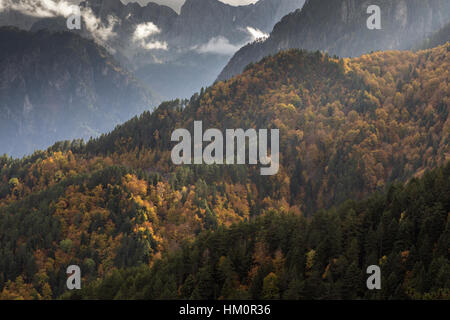 Les pentes boisées de Trapezitsa, en automne, avec le Mont Timfi-Aoös au-delà ; Parc National de Vikos, Zagoria, Grèce du Nord Banque D'Images