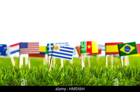 Coupe papier de drapeaux sur l'herbe pour le Soccer Championship 2014 Banque D'Images