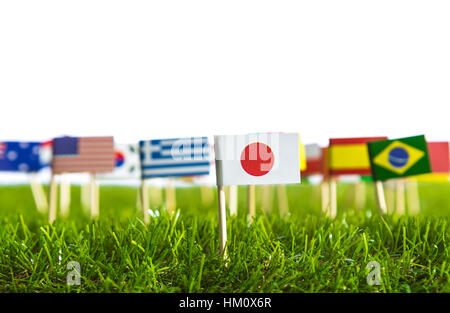 Coupe papier de drapeaux sur l'herbe pour le Soccer Championship 2014 Banque D'Images