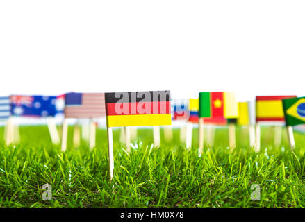 Coupe papier de drapeaux sur l'herbe pour le Soccer Championship 2014 Banque D'Images