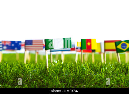 Coupe papier de drapeaux sur l'herbe pour le Soccer Championship 2014 Banque D'Images