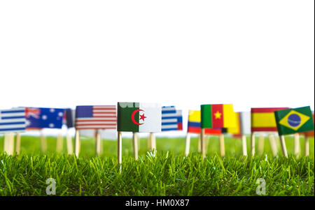 Coupe papier de drapeaux sur l'herbe pour le Soccer Championship 2014 Banque D'Images