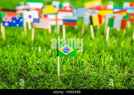 Coupe papier de drapeaux sur l'herbe pour le Soccer Championship 2014 Banque D'Images