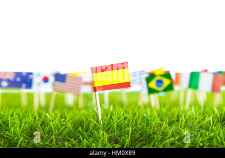 Coupe papier de drapeaux sur l'herbe pour le Soccer Championship 2014 Banque D'Images