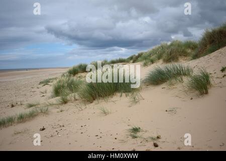 Dunes de sable de Holkham beach Banque D'Images