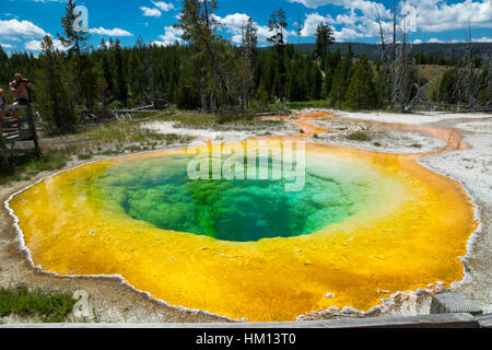 Morning Glory Pool, Upper Geyser Basin, Parc National de Yellowstone, Wyoming, USA Banque D'Images