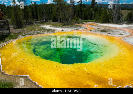 Morning Glory Pool, Upper Geyser Basin, Parc National de Yellowstone, Wyoming, USA Banque D'Images